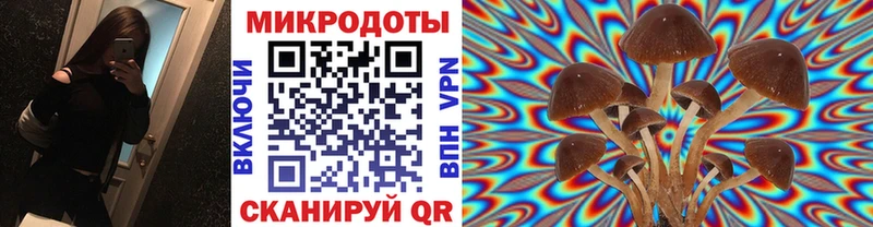 Псилоцибиновые грибы мухоморы Петухово