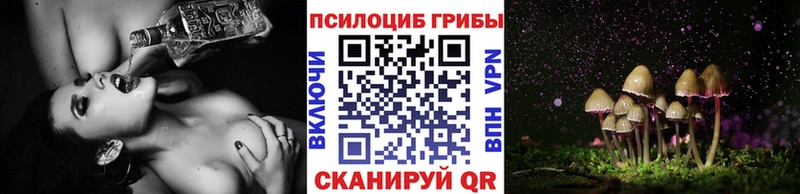 Псилоцибиновые грибы ЛСД  Петухово 
